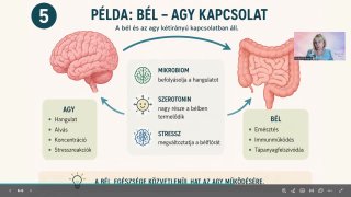 Értsd meg tested mélyebb összefüggéseit